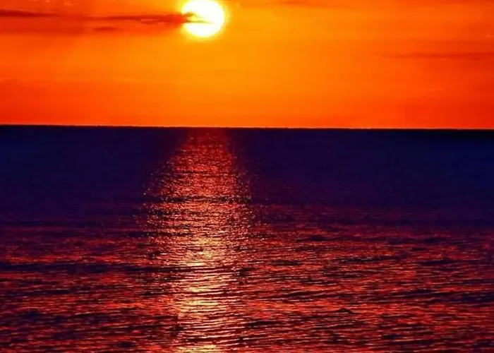 Sun Novo Oriahovo *