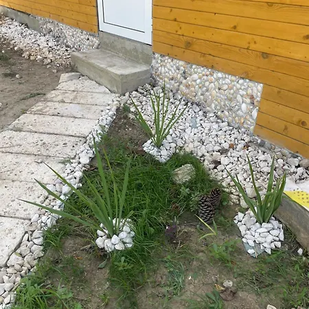 Sun Novo Oriahovo Case de vacanță *